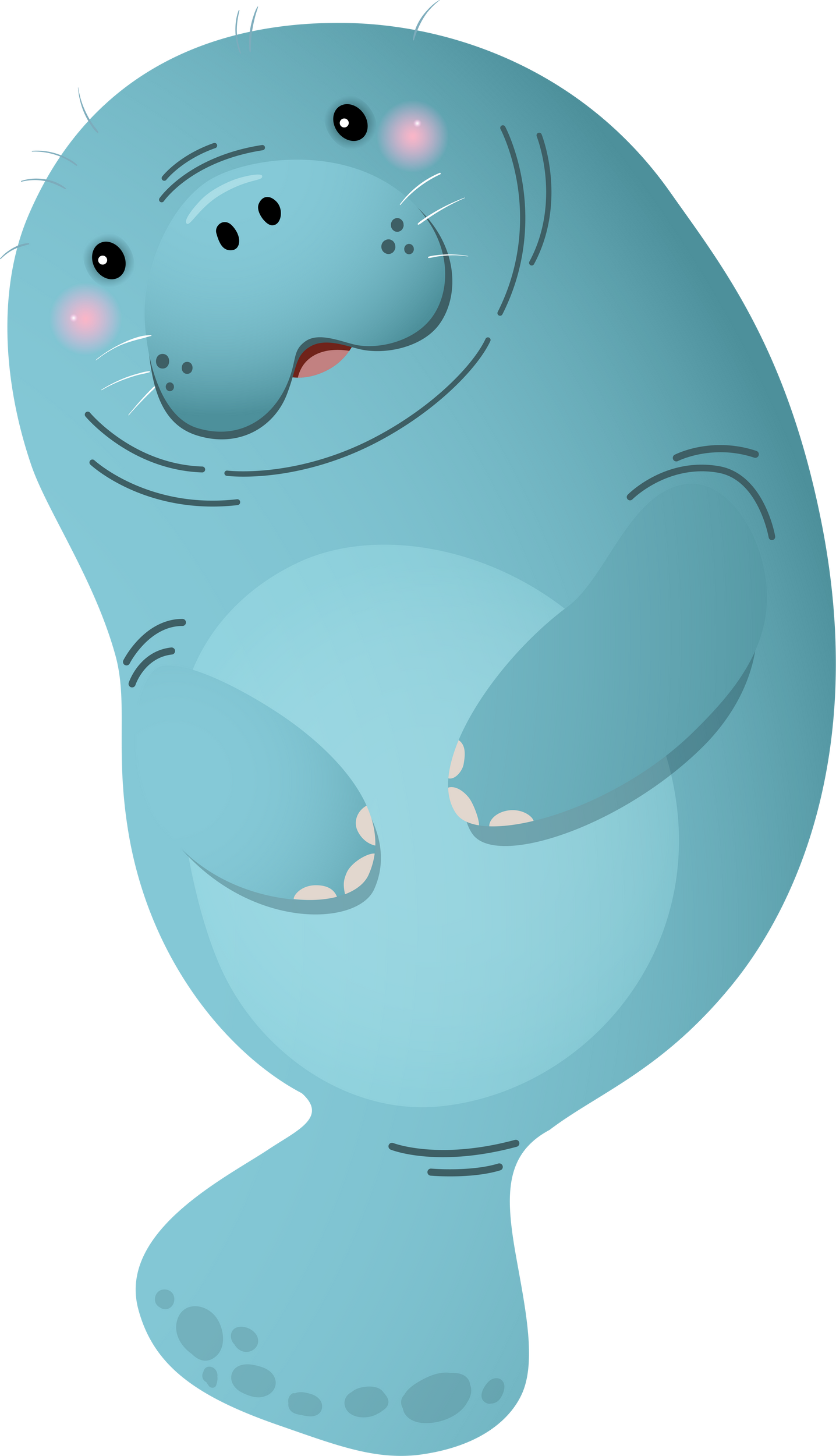 Cartoon cute  manatee swimming